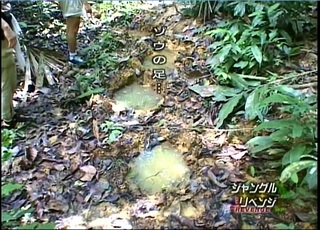 20210124su12.jpg
