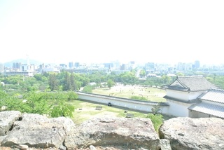 DSC_41556.jpg