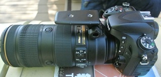 DSC_41831.jpg