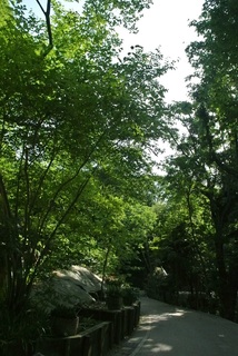 DSC_42049.jpg