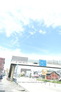 DSC_42488.jpg