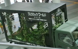 DSC_42673.jpg