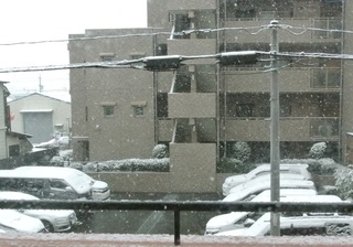 DSC_44464.jpg