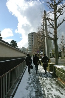 DSC_44545.jpg