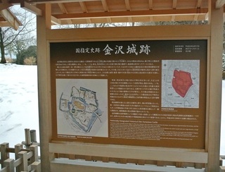 DSC_44618.jpg