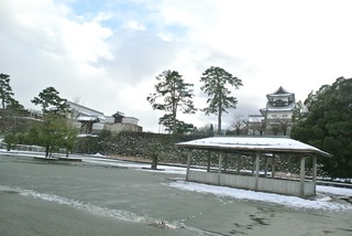 DSC_44642.jpg