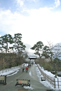 DSC_44647.jpg