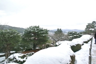 DSC_44910.jpg