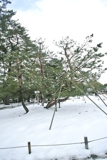 DSC_44919.jpg