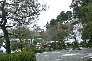 DSC_44944r.jpg
