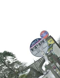 DSC_44945.jpg