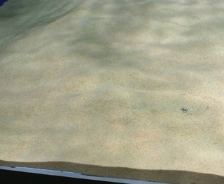 DSC_46984.jpg