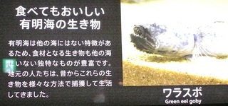 DSC_46986.jpg