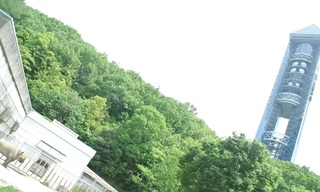 DSC_47404.jpg