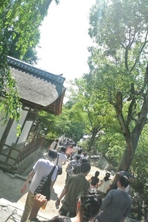 DSC_48778.jpg
