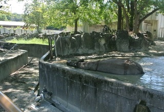 DSC_49484.jpg