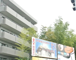 DSC_49905.jpg