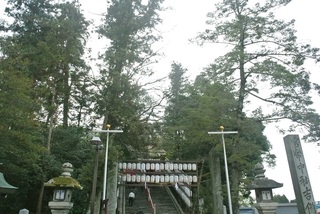 DSC_50375a.jpg