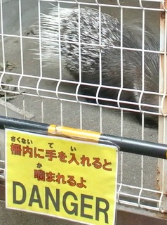 DSC_50465.jpg