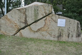 DSC_50728.jpg
