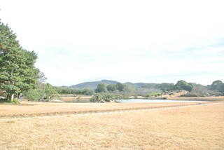 DSC_50760.jpg