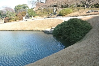 DSC_50780.jpg