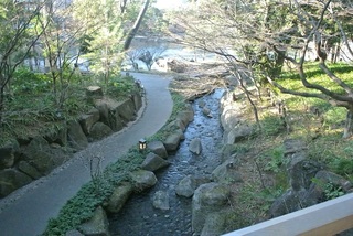DSC_51114.jpg