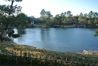 DSC_51124.jpg