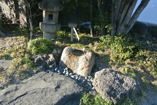 DSC_51152.jpg