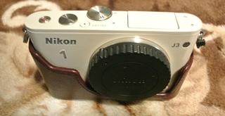 DSC_52096ab.jpg